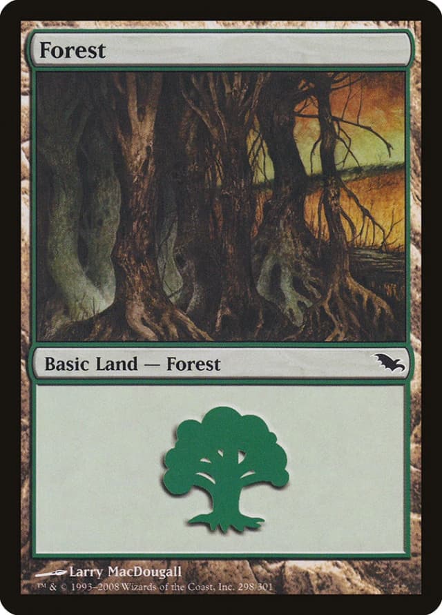 Forest image