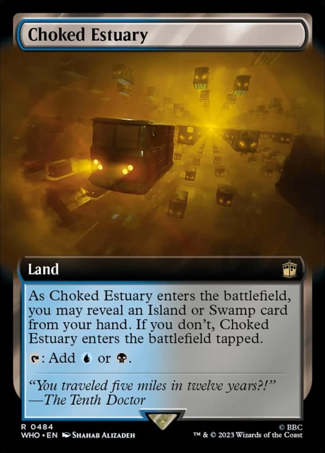 Choked Estuary image