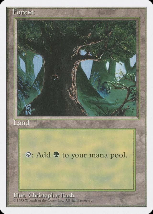 Forest image