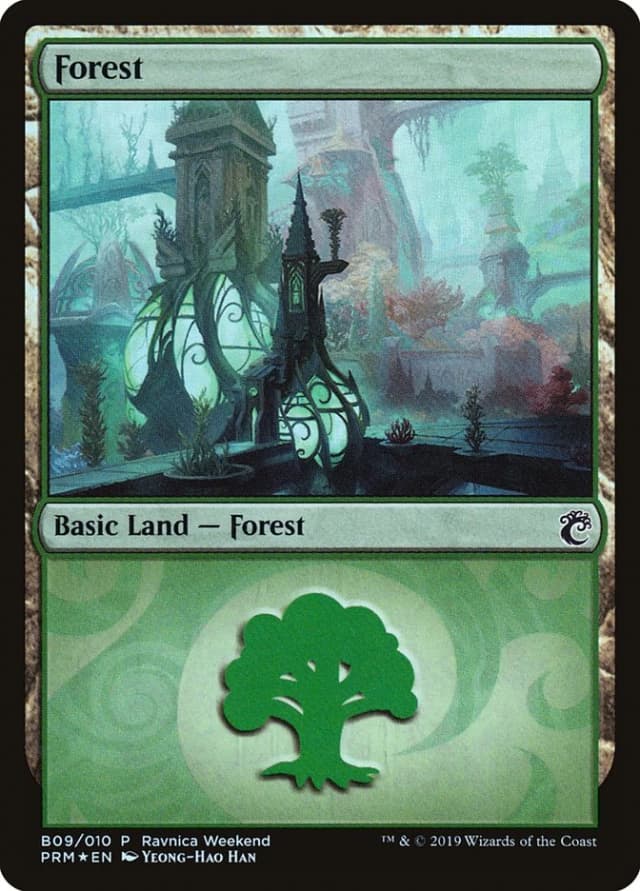Forest image