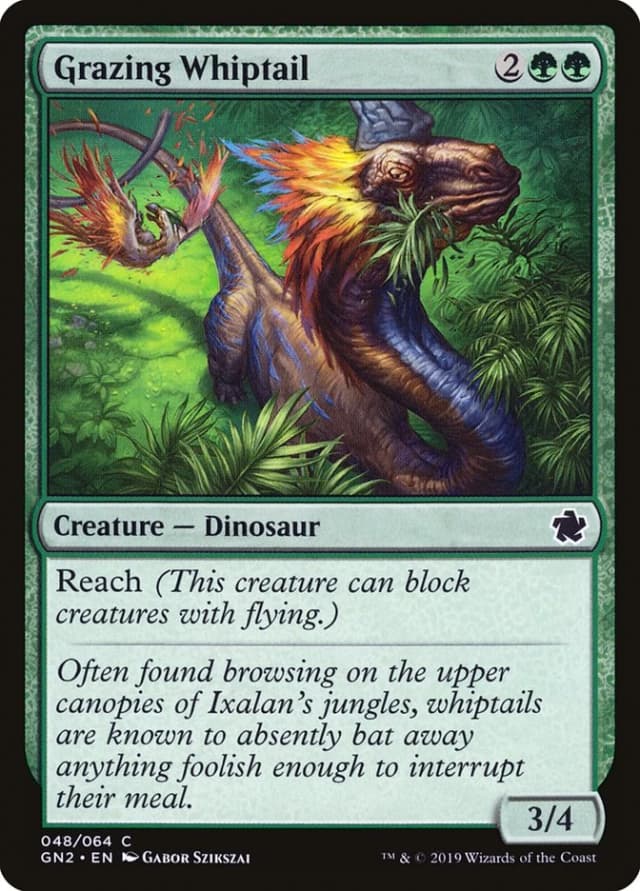 Grazing Whiptail image
