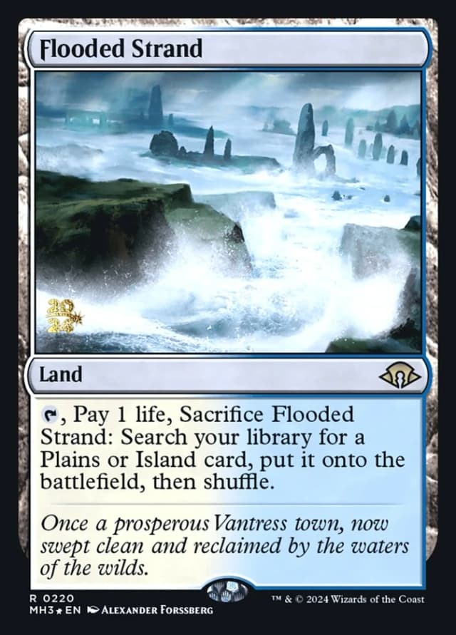Flooded Strand image