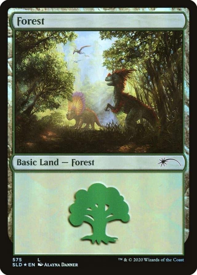 Forest image
