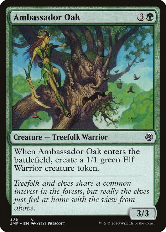 Ambassador Oak image