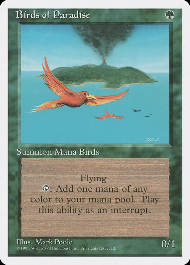 Birds of Paradise image
