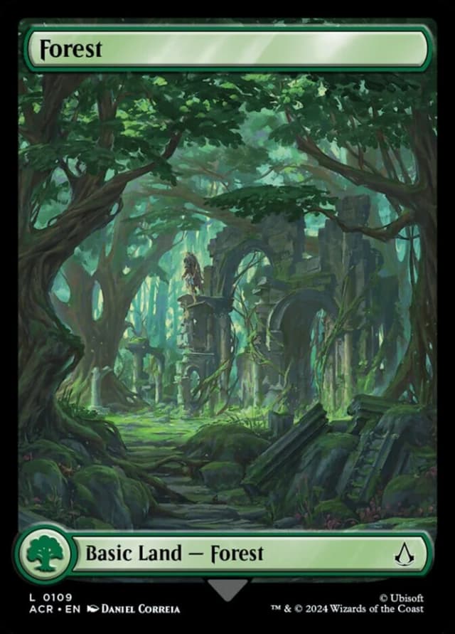 Forest image