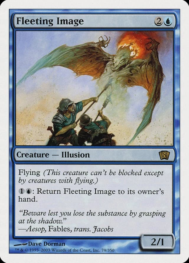 Fleeting Image image