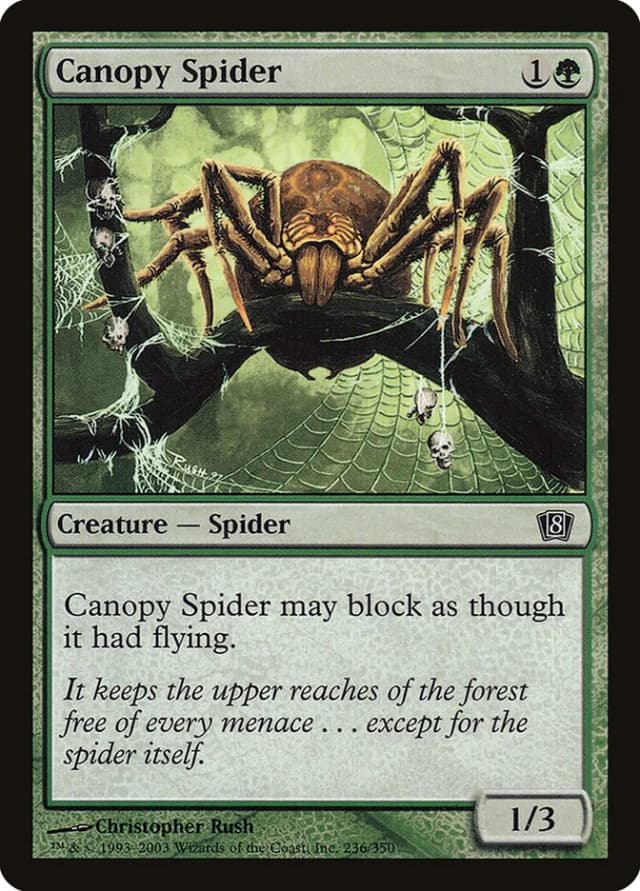 Canopy Spider image