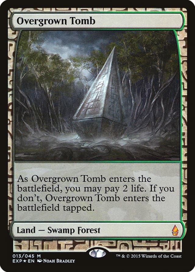 Overgrown Tomb image