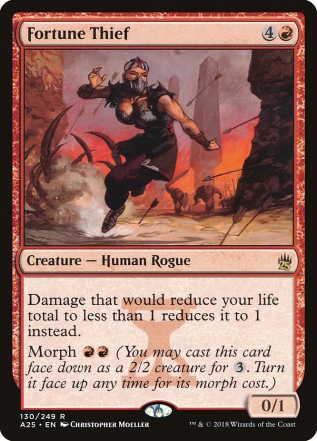 Fortune Thief image