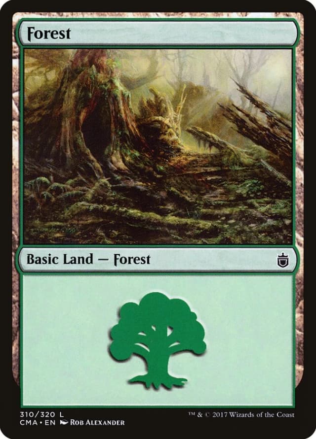 Forest image