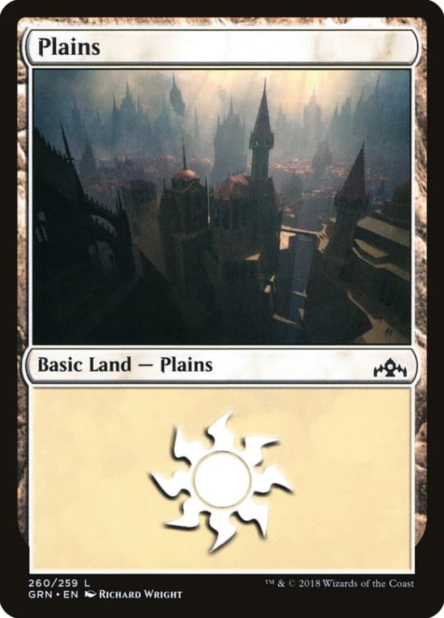 Plains image