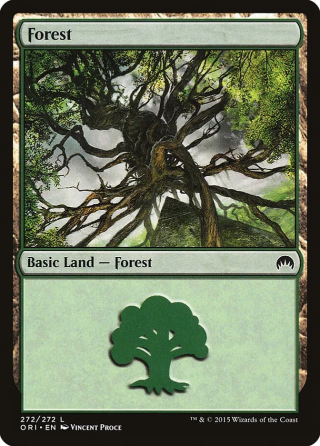 Forest image