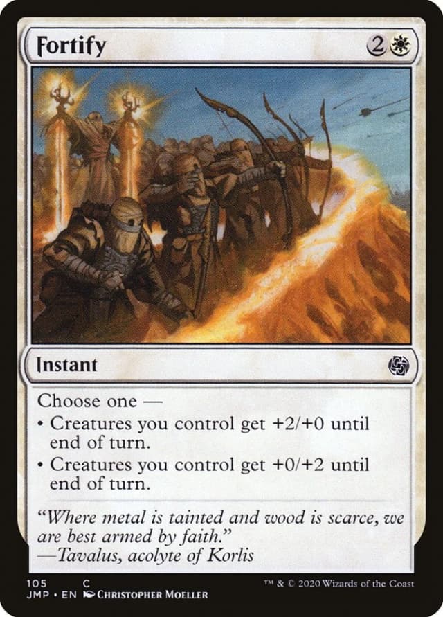 Fortify image