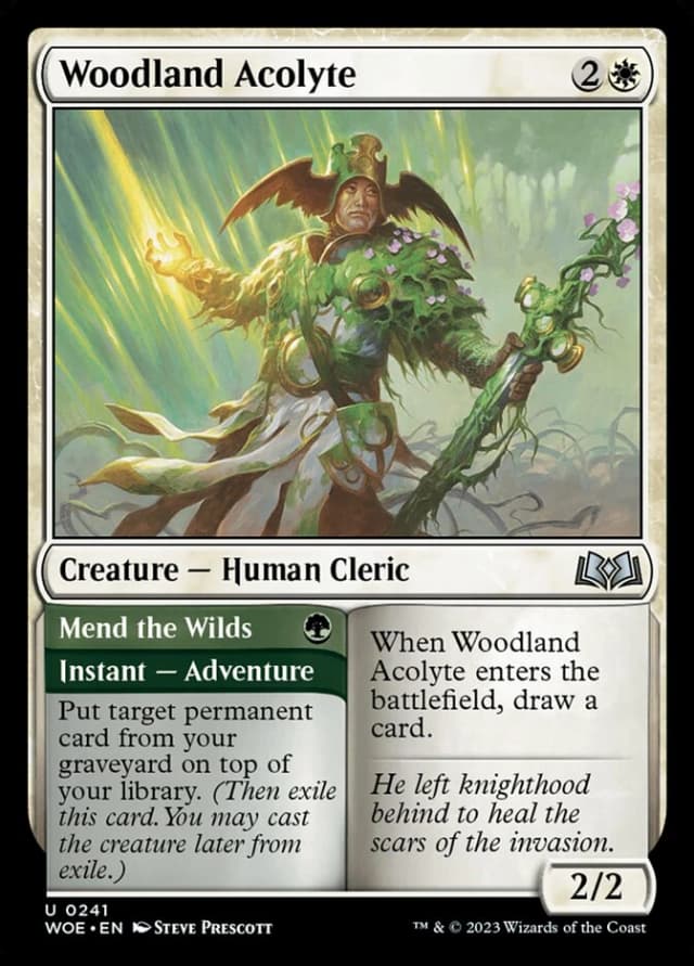 Woodland Acolyte // Mend the Wilds image