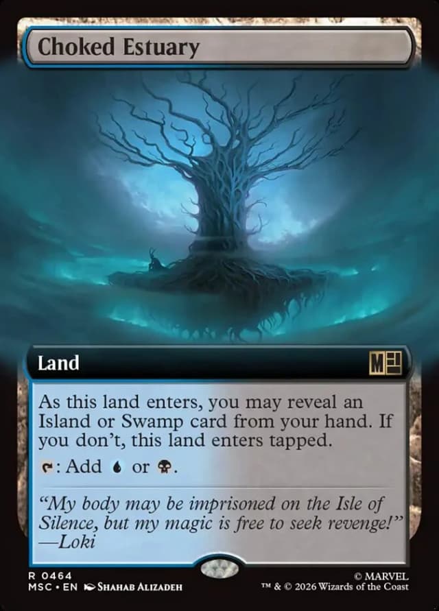 Choked Estuary image