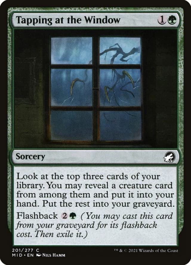 Tapping at the Window image