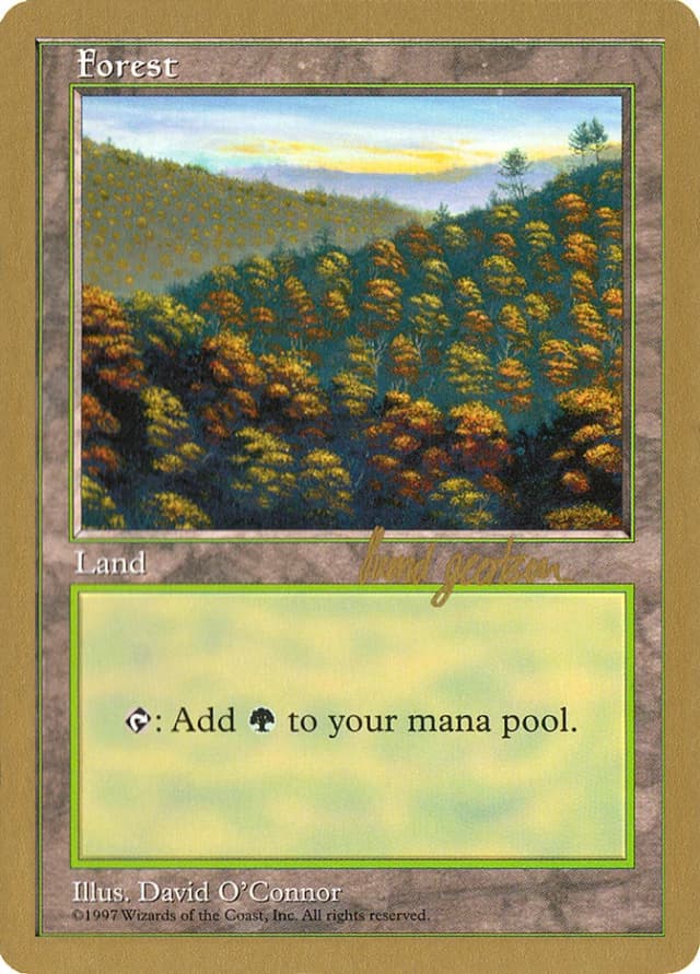 Forest image