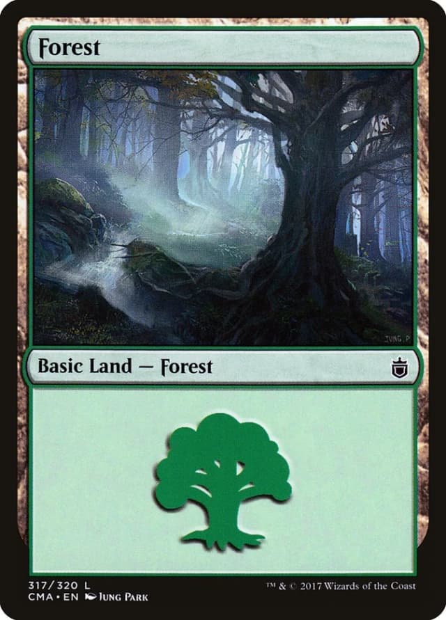 Forest image