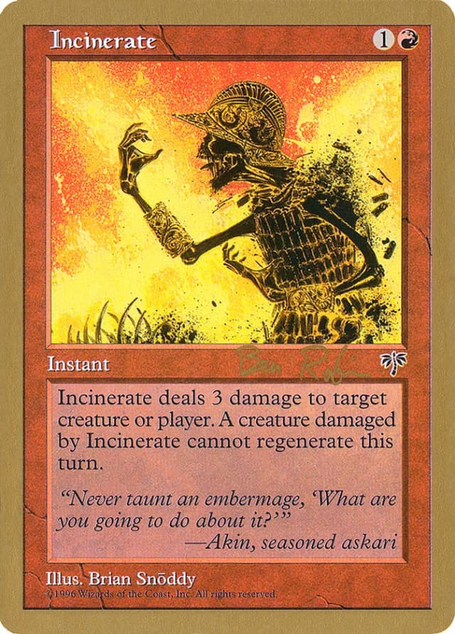 Incinerate image