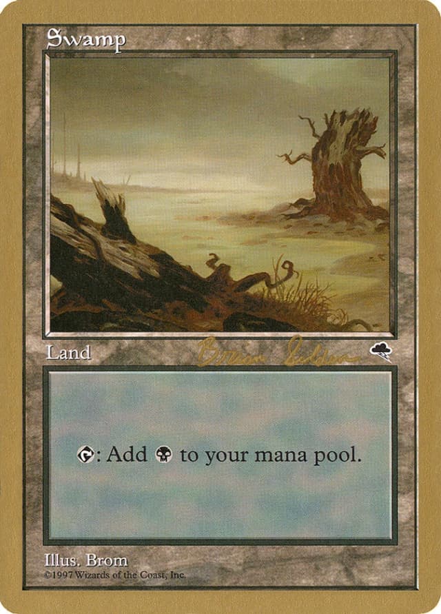 Swamp image