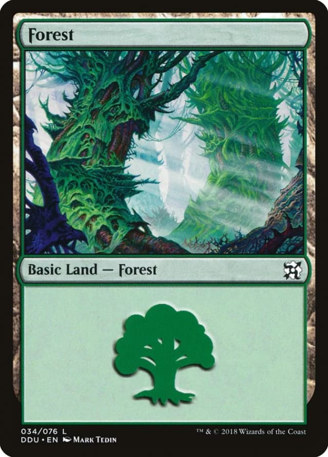 Forest image