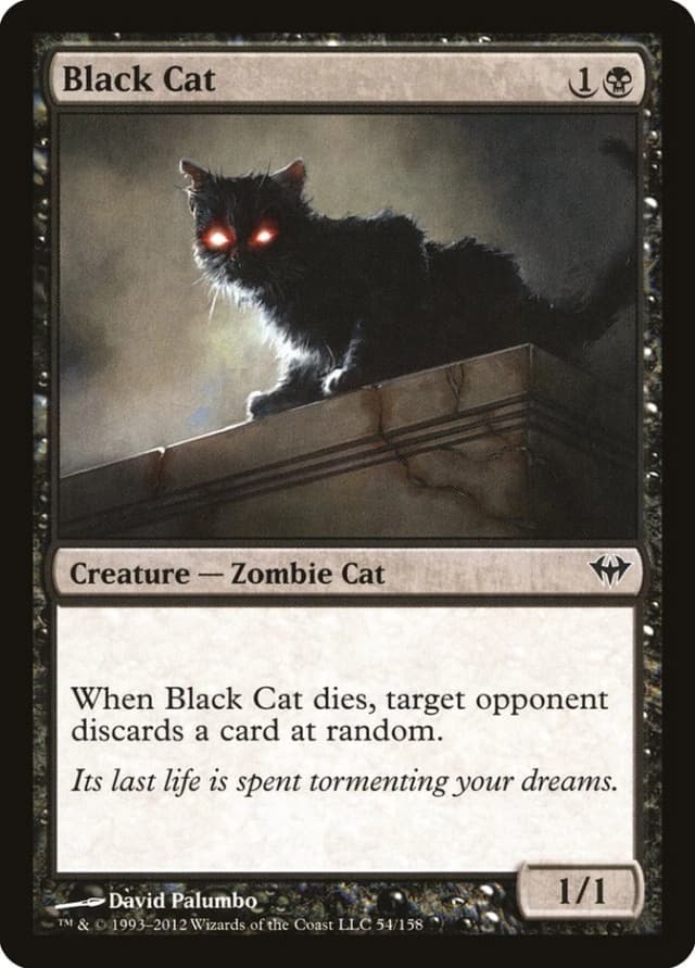 Black Cat image