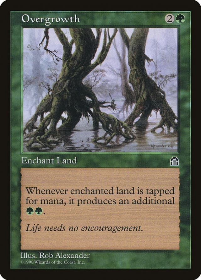 Overgrowth image