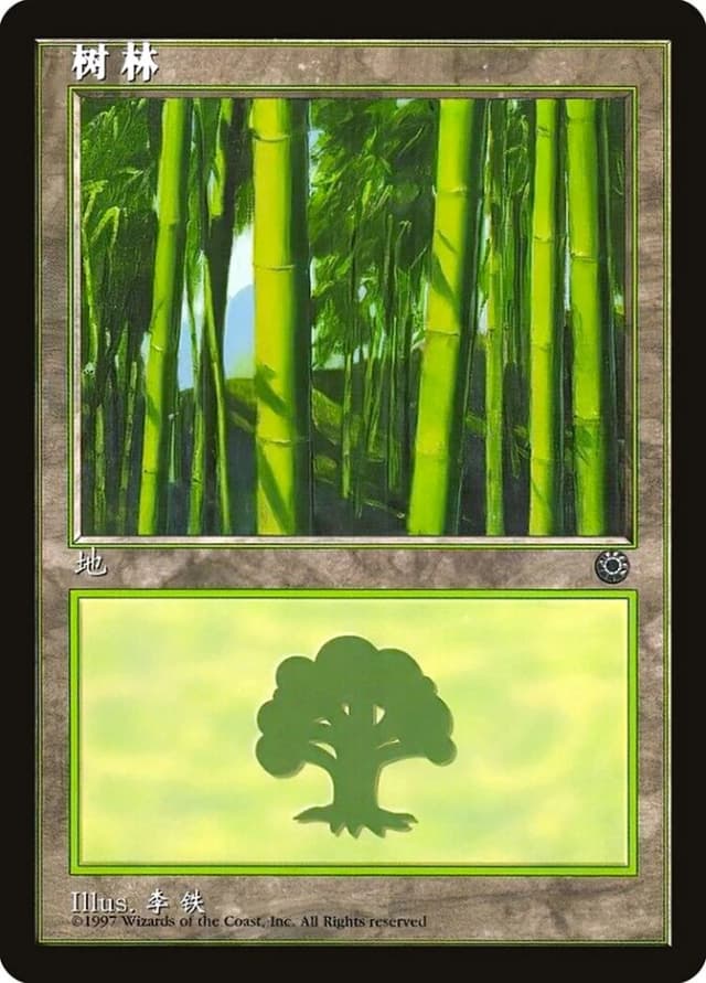 Forest image