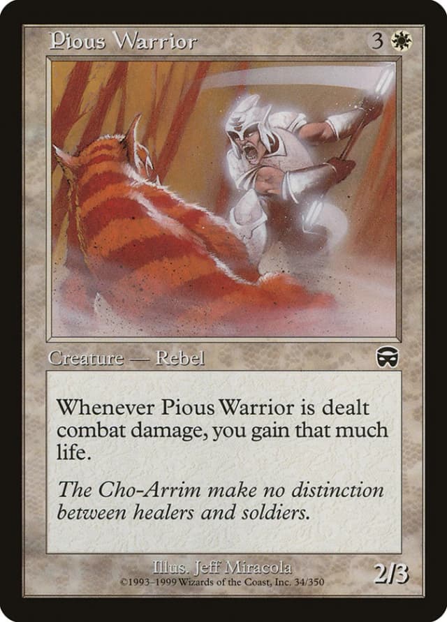 Pious Warrior image