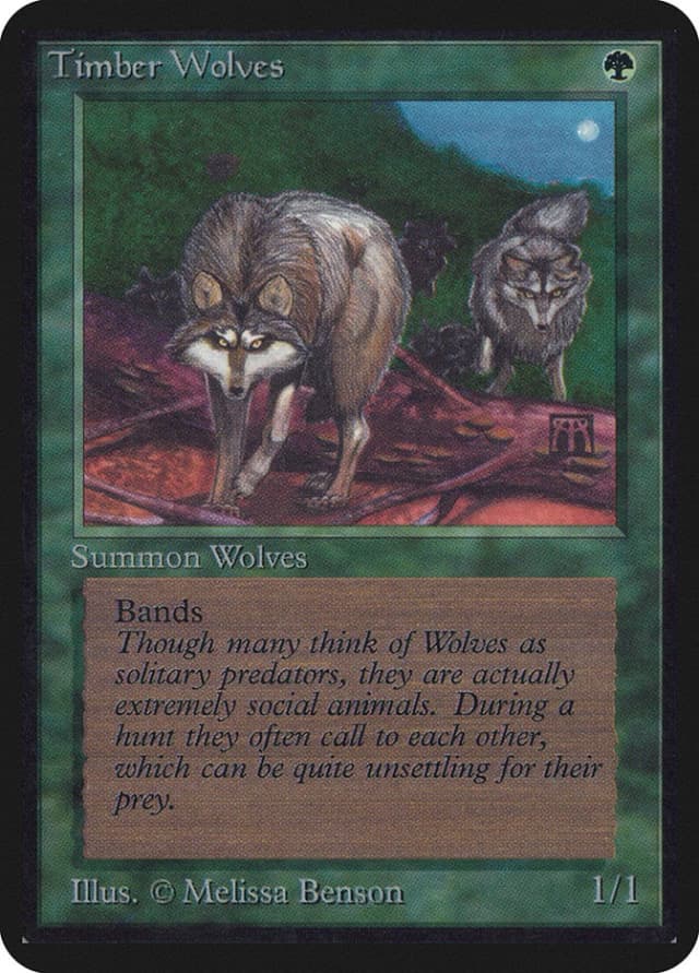Timber Wolves image