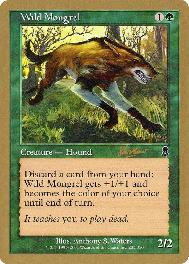 Wild Mongrel image