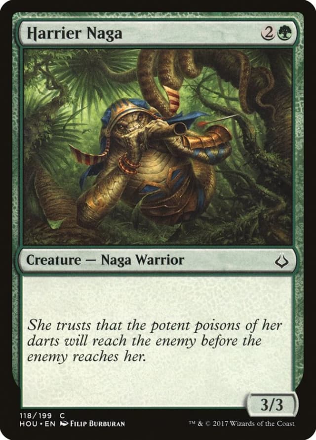 Harrier Naga image