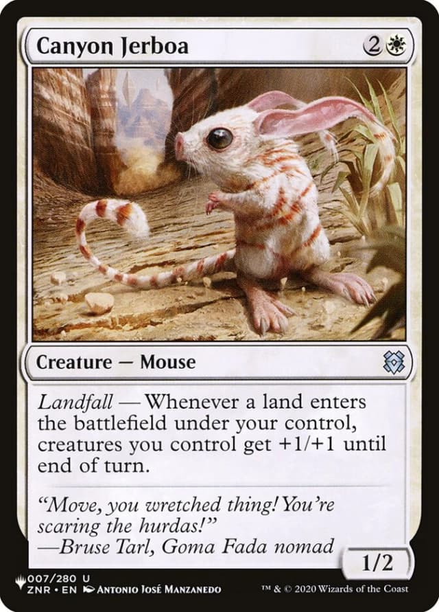 Canyon Jerboa image