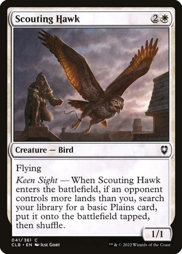 Scouting Hawk image