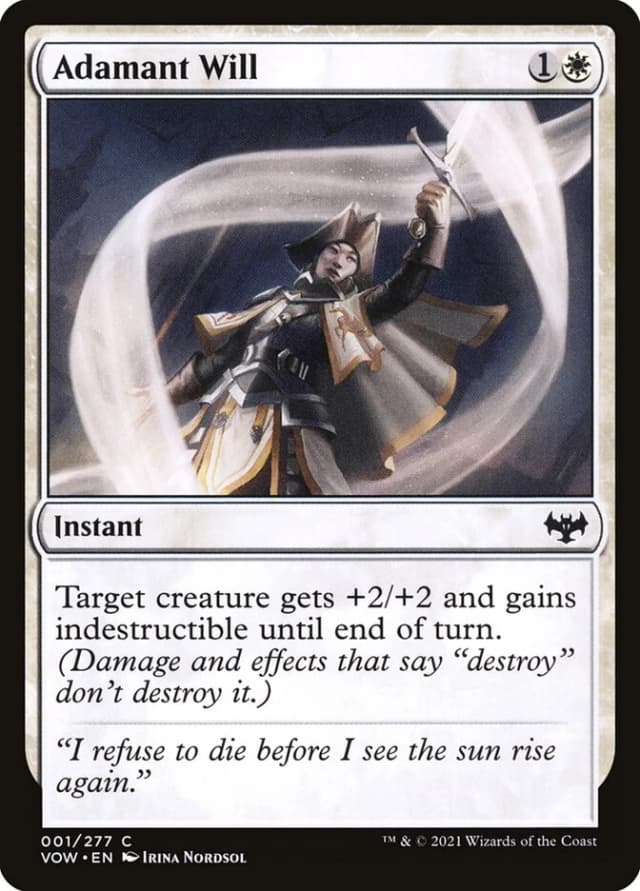 Adamant Will image