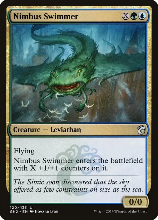 Nimbus Swimmer image