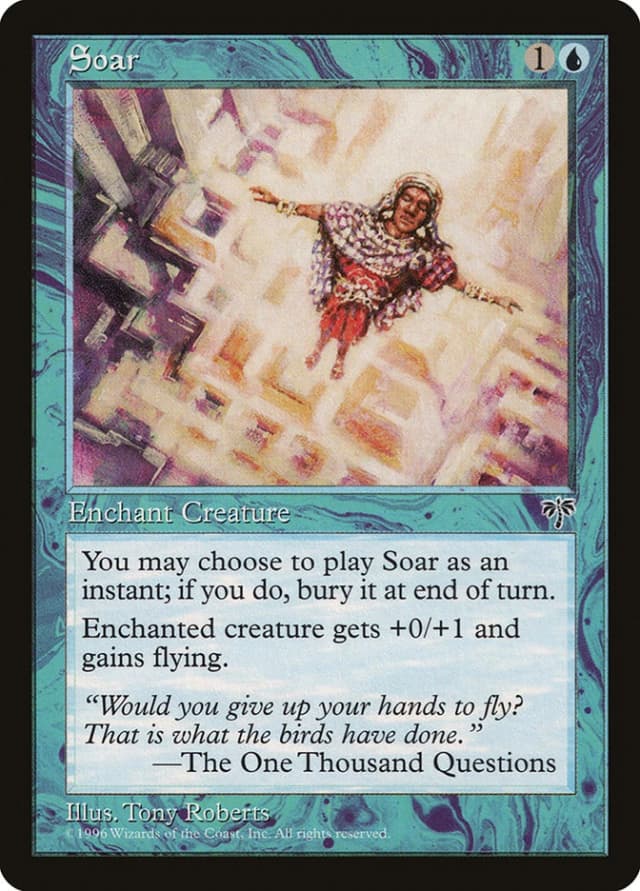 Soar image