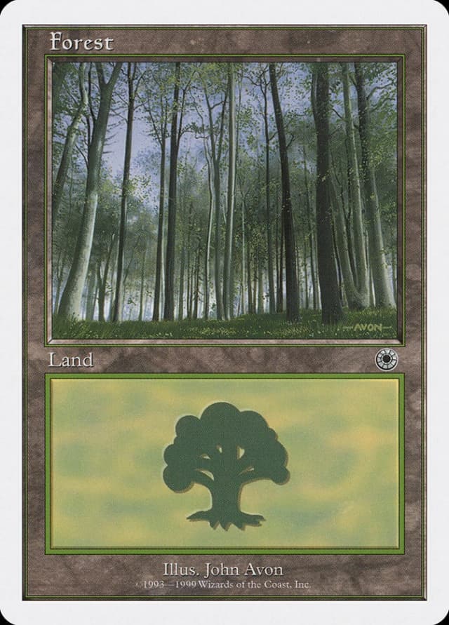 Forest image