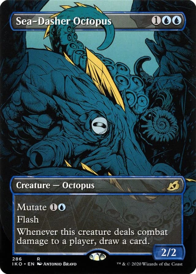 Sea-Dasher Octopus image