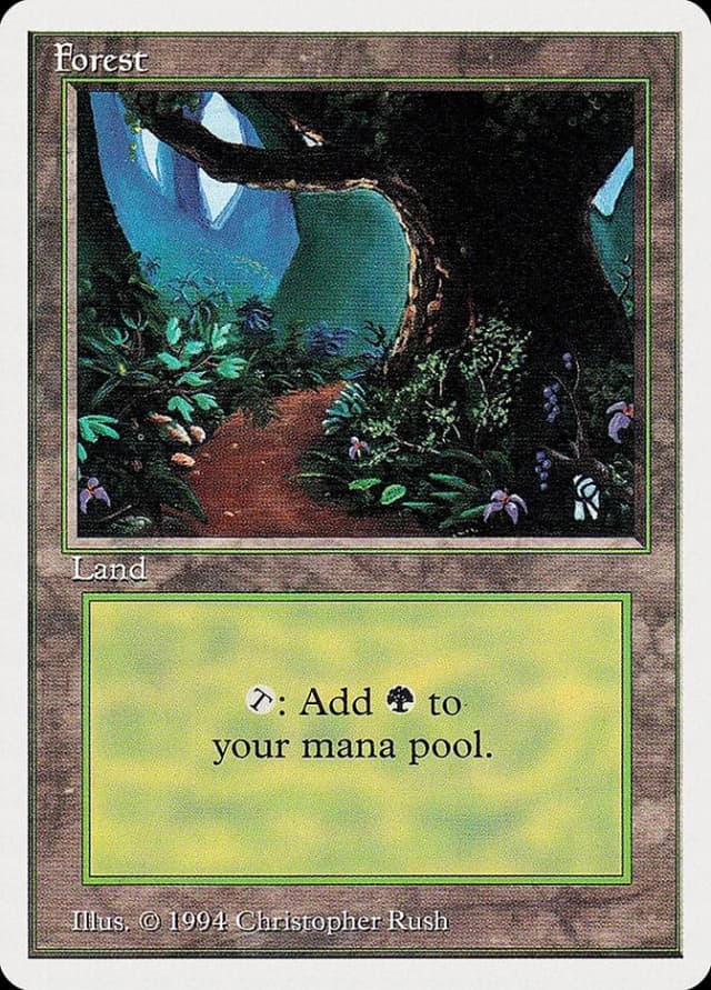 Forest image