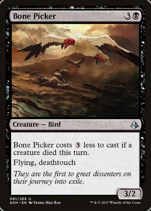 Bone Picker image