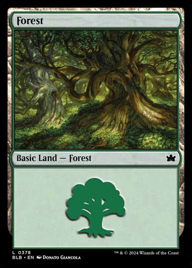 Forest image
