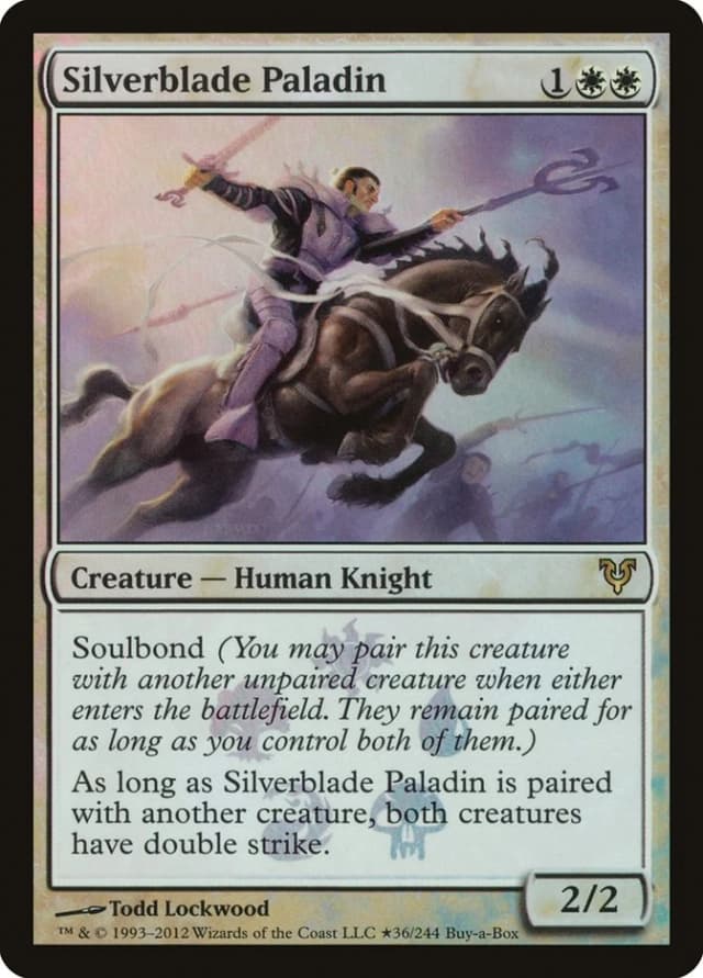 Silverblade Paladin image