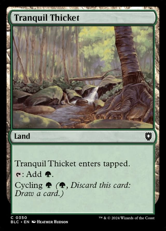 Tranquil Thicket image