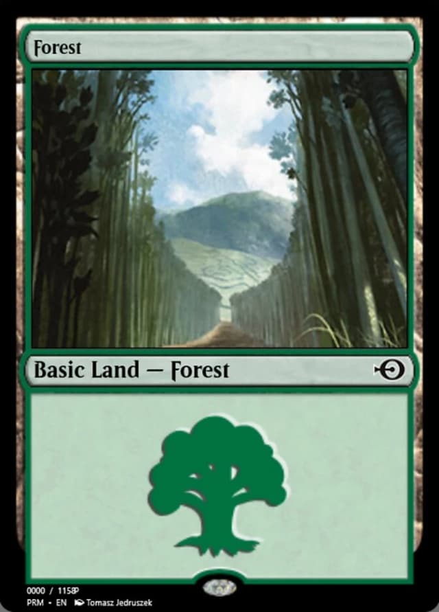 Forest image