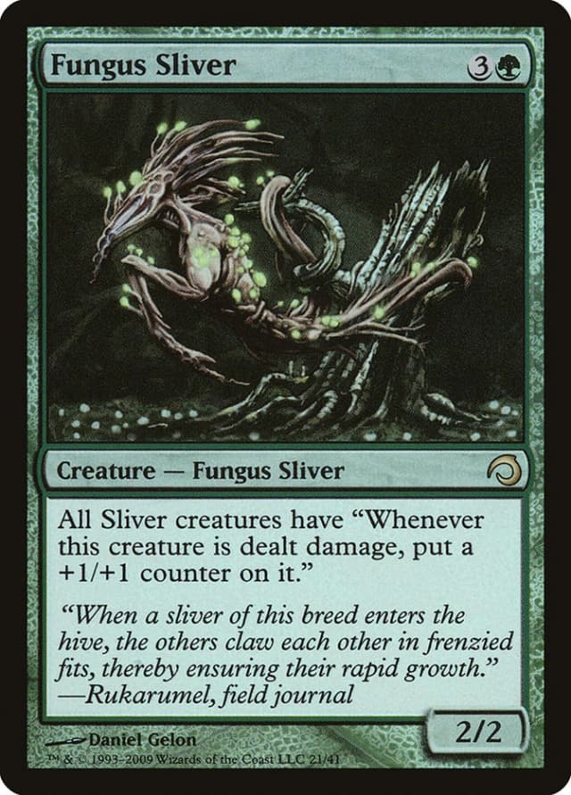 Fungus Sliver image