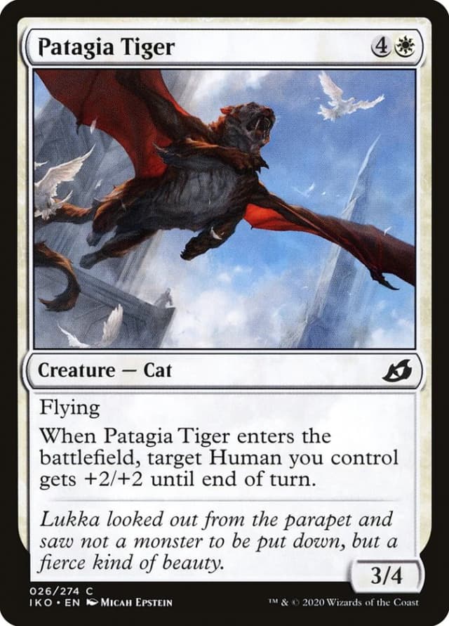 Patagia Tiger image