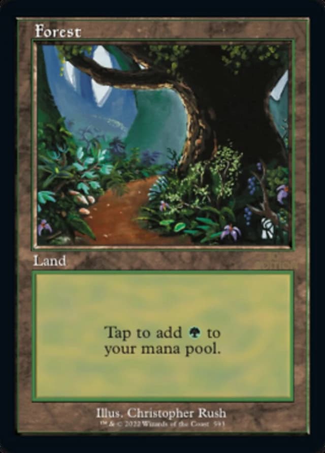 Forest image