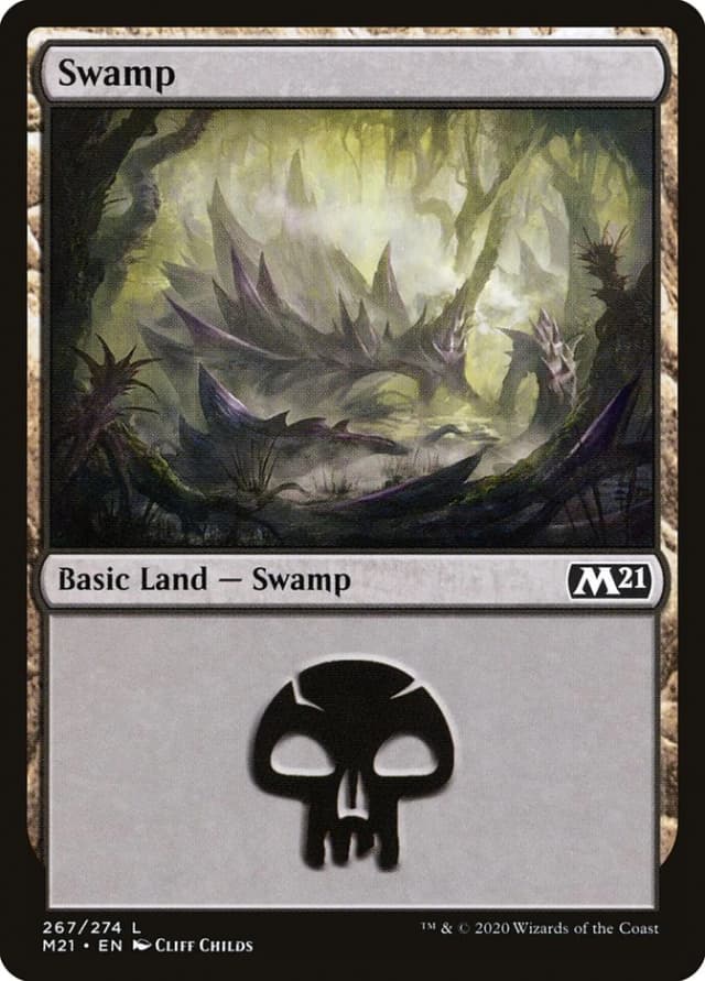 Swamp image